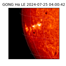 gong - 2024-07-25T04:00:42