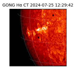 gong - 2024-07-25T12:29:42