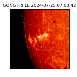 gong - 2024-07-25T07:00:42