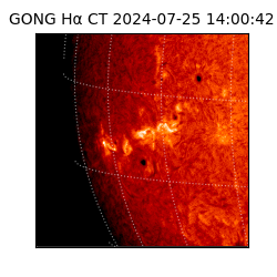 gong - 2024-07-25T14:00:42