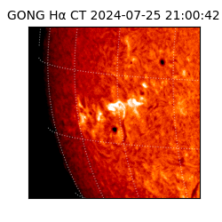 gong - 2024-07-25T21:00:42