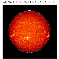 gong - 2024-07-25T05:00:42