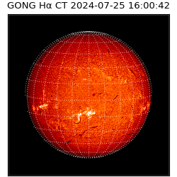 gong - 2024-07-25T16:00:42