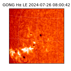 gong - 2024-07-26T08:00:42