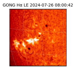 gong - 2024-07-26T08:00:42