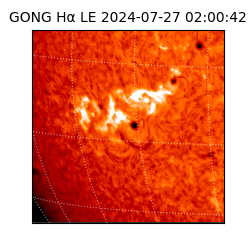 gong - 2024-07-27T02:00:42