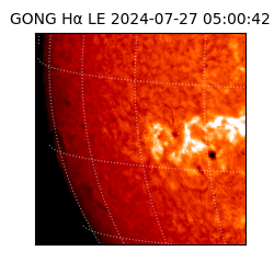 gong - 2024-07-27T05:00:42