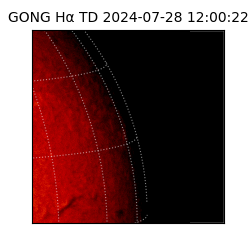 gong - 2024-07-28T12:00:22