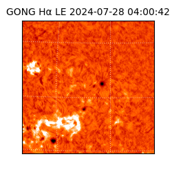 gong - 2024-07-28T04:00:42