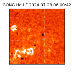 gong - 2024-07-28T06:00:42