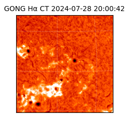 gong - 2024-07-28T20:00:42