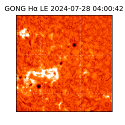 gong - 2024-07-28T04:00:42