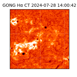 gong - 2024-07-28T14:00:42