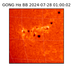 gong - 2024-07-28T01:00:02