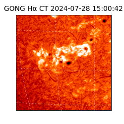 gong - 2024-07-28T15:00:42