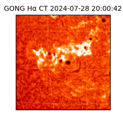 gong - 2024-07-28T20:00:42