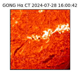 gong - 2024-07-28T16:00:42