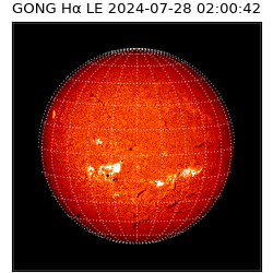 gong - 2024-07-28T02:00:42