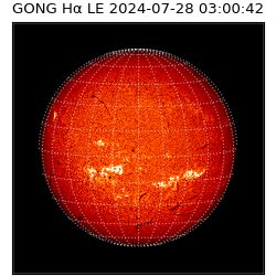 gong - 2024-07-28T03:00:42