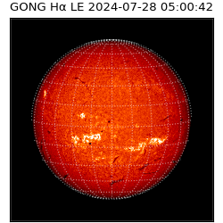 gong - 2024-07-28T05:00:42