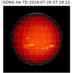 gong - 2024-07-28T07:18:22