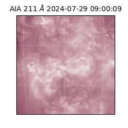 saia - 2024-07-29T09:00:09.618000