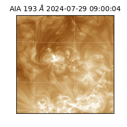 saia - 2024-07-29T09:00:04.835000