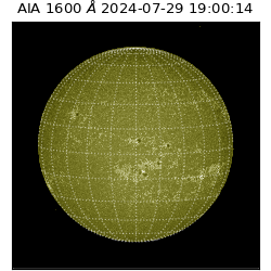 saia - 2024-07-29T19:00:14.130000