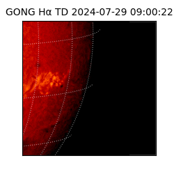 gong - 2024-07-29T09:00:22