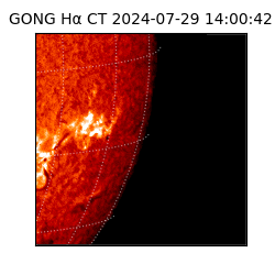 gong - 2024-07-29T14:00:42