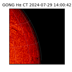 gong - 2024-07-29T14:00:42