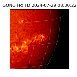 gong - 2024-07-29T08:00:22