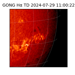 gong - 2024-07-29T11:00:22