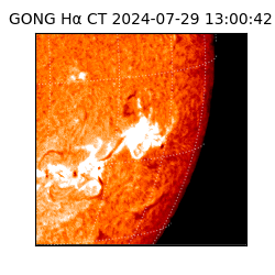 gong - 2024-07-29T13:00:42