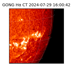 gong - 2024-07-29T16:00:42