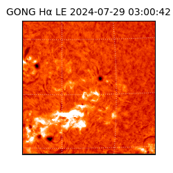 gong - 2024-07-29T03:00:42