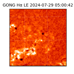 gong - 2024-07-29T05:00:42