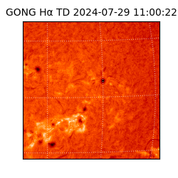 gong - 2024-07-29T11:00:22