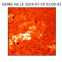 gong - 2024-07-29T03:00:42