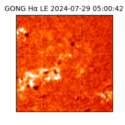 gong - 2024-07-29T05:00:42