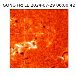 gong - 2024-07-29T06:00:42