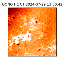 gong - 2024-07-29T13:00:42