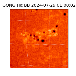 gong - 2024-07-29T01:00:02