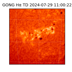 gong - 2024-07-29T11:00:22