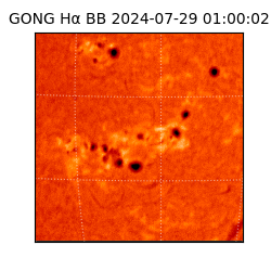 gong - 2024-07-29T01:00:02