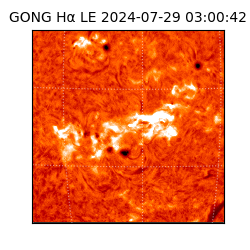 gong - 2024-07-29T03:00:42