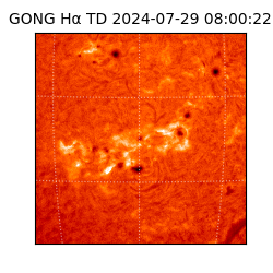 gong - 2024-07-29T08:00:22