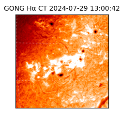 gong - 2024-07-29T13:00:42