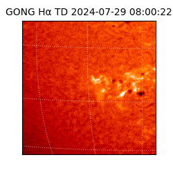 gong - 2024-07-29T08:00:22