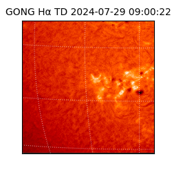 gong - 2024-07-29T09:00:22